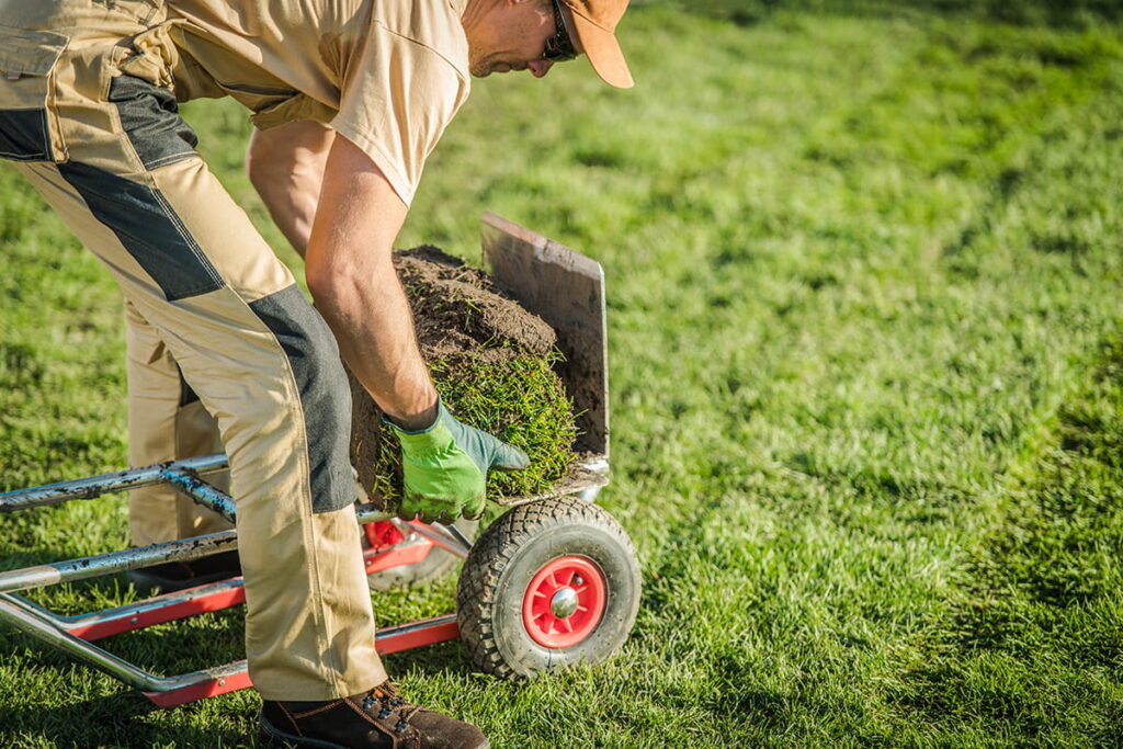gartenpflege memmingen