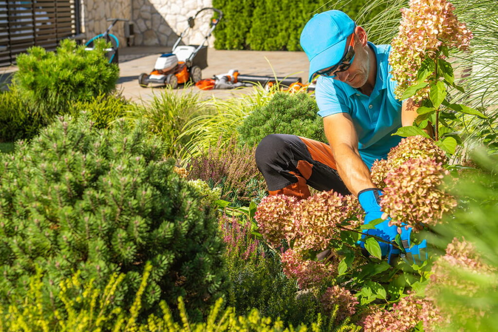 gartenpflege memmingen