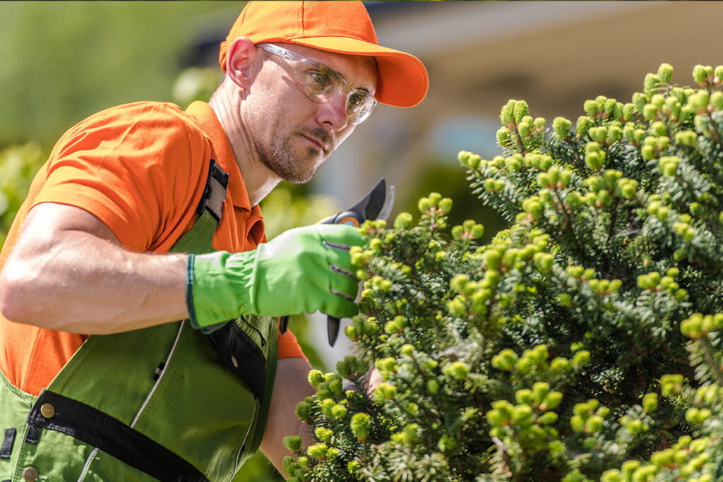 gartenpflege memmingen