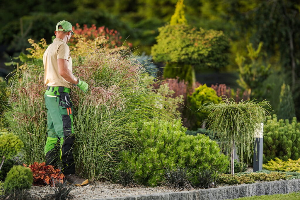 gartenpflege memmingen