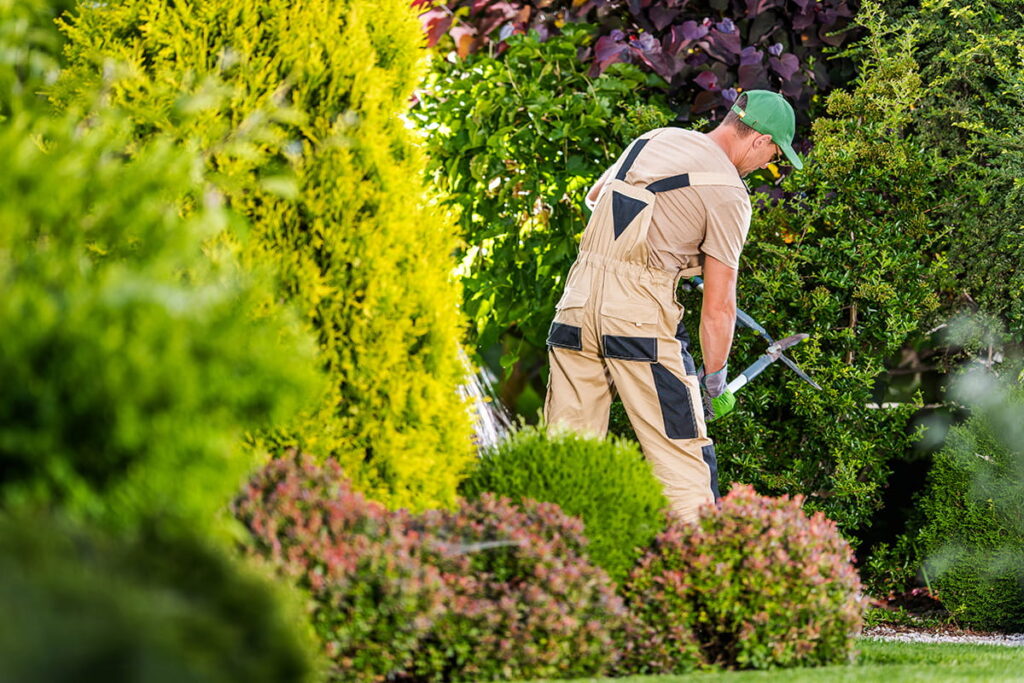 gartenpflege memmingen