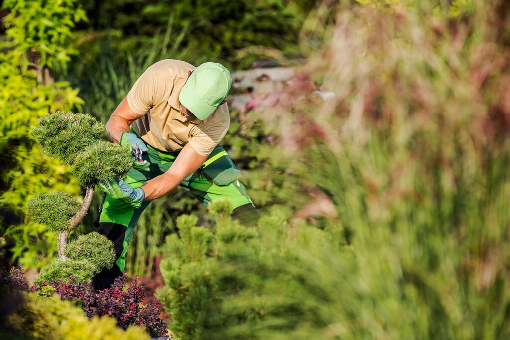 gartenpflege memmingen