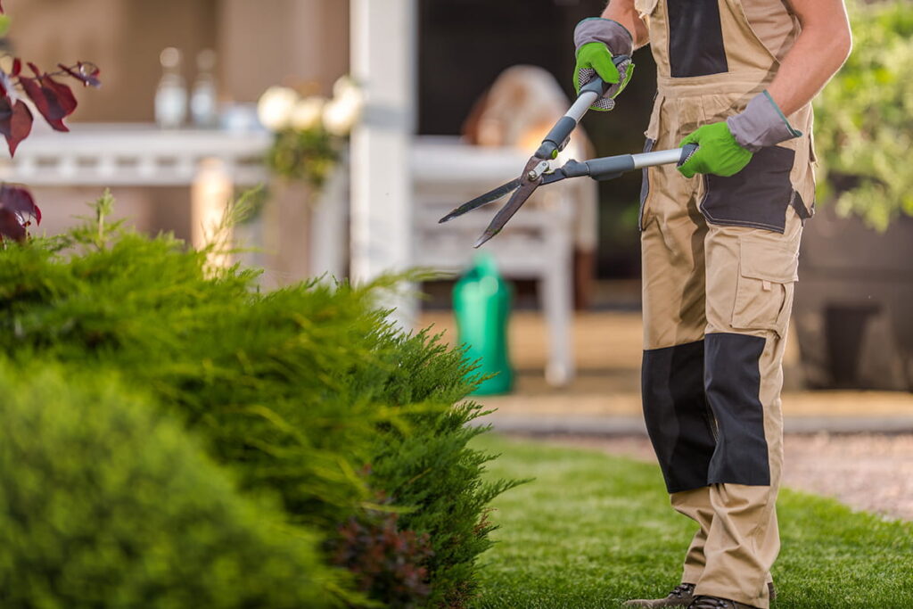 gartenpflege memmingen